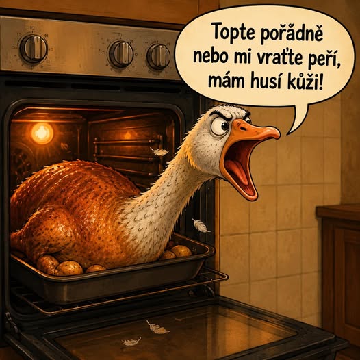 16281