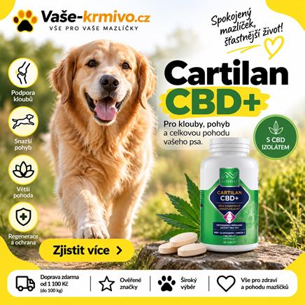 CBD pro psy